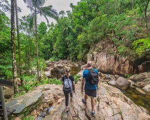 Finch Hatton Gorge Hike & Swim, 5 Hours - Mackay