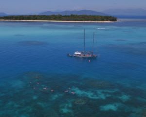 Green Island Sailing Cruise, Full Day - Cairns