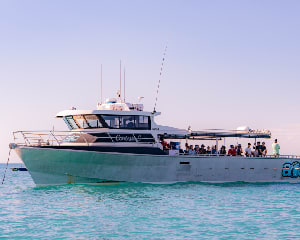 Reef Fishing Charters, Full Day - Broome