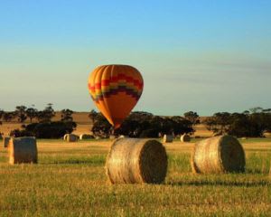 Sunrise Hot Air Balloon Flight, Weekends - Avon Valley
