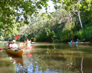 Self Guided Scenic Yarra River Kayak Tour - For 2