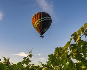 Midweek Hot Air Balloon Flight Only - Hunter Valley