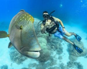 4-Day PADI Open Water Dive Course - Cairns