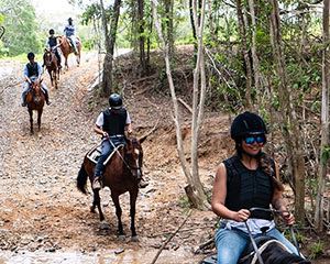 Horse Riding Tour with Petting Zoo Entry - Cairns