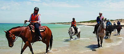 Horse ride on the beach – Mornington Peninsula