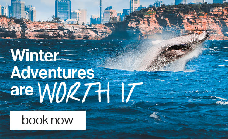 WinterV2-Mobile-WhaleWatching