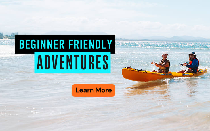 Beginner Friendly Summer 2025 Mobile