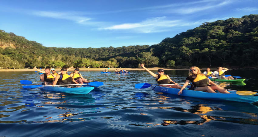 Morning Kayaking and Bushwalking Adventure, 3 Hours - Palm Beach