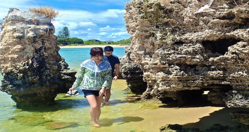 Sea Kayak Tour of Penguin & Seal Island - Perth