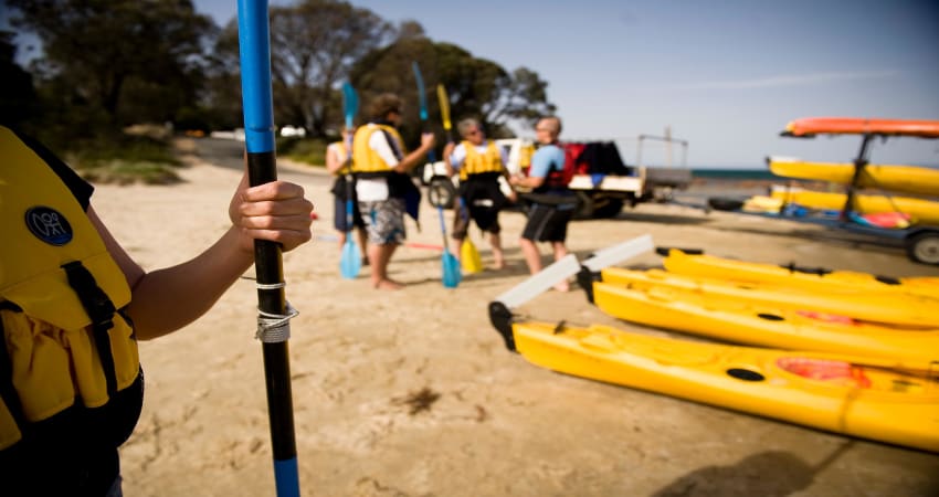 Guided Kayak in Freycinet National Park, 3 Hours - Freycinet