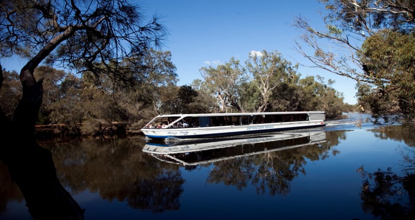 swan valley river cruise and wine tasting