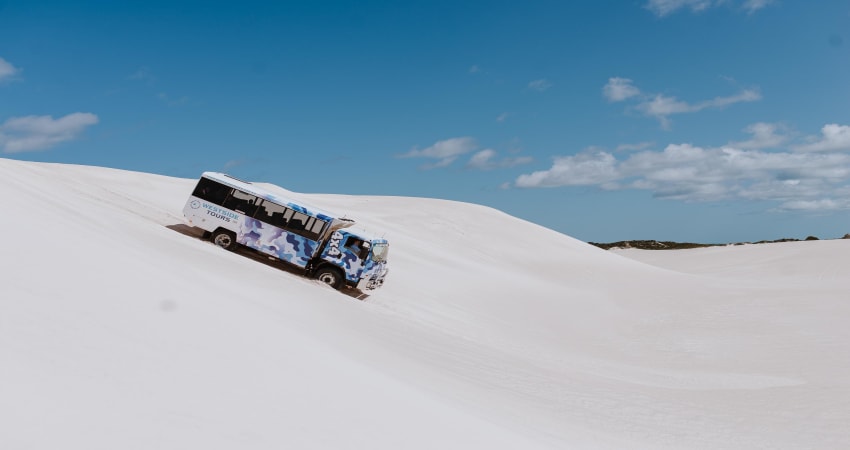 4WD and Sandboarding Adventure, 45 Minutes - Lancelin Dunes, Perth