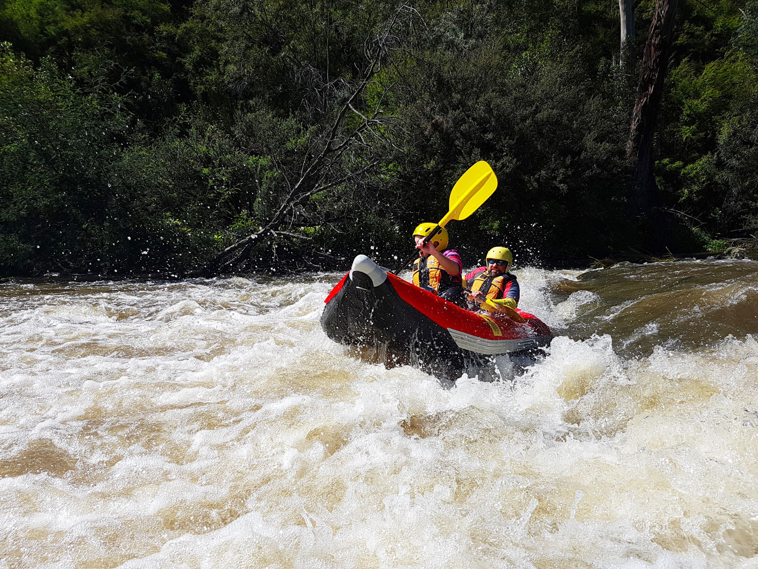 Sports Rafting, Yarra River 3 Hours - Melbourne - LAST MINUTE SPECIAL