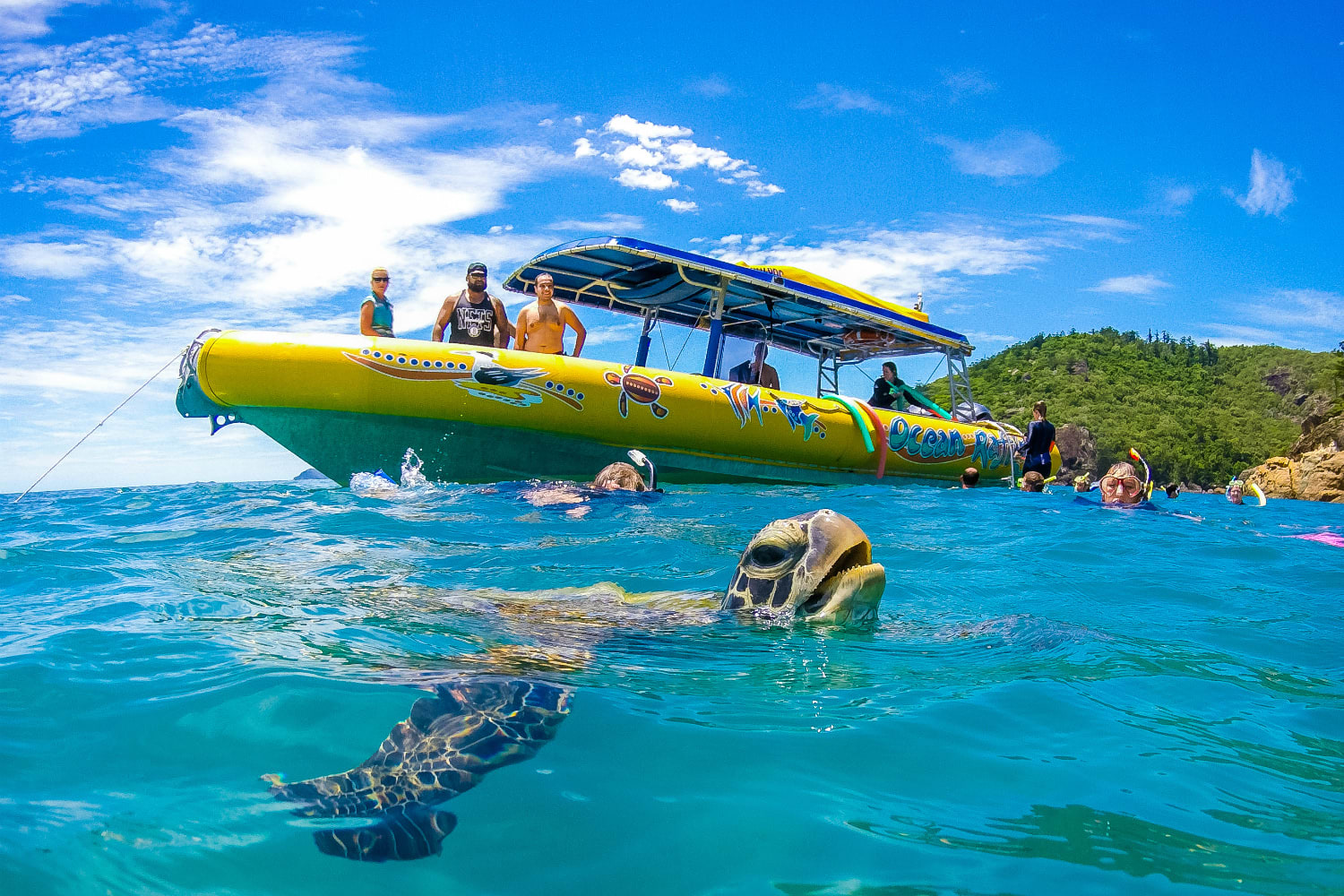 whitehaven beach trip