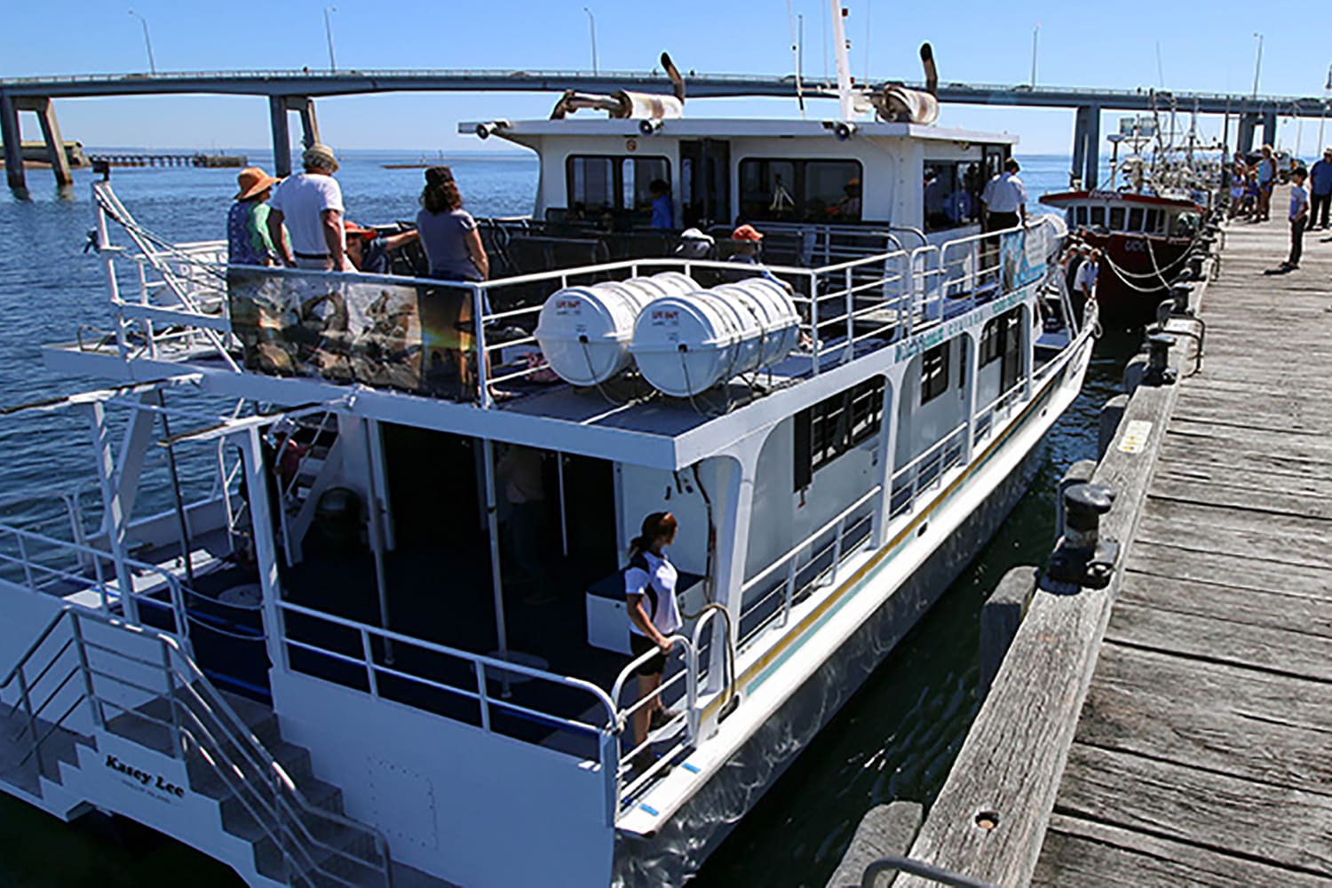 whale watching cruise phillip island