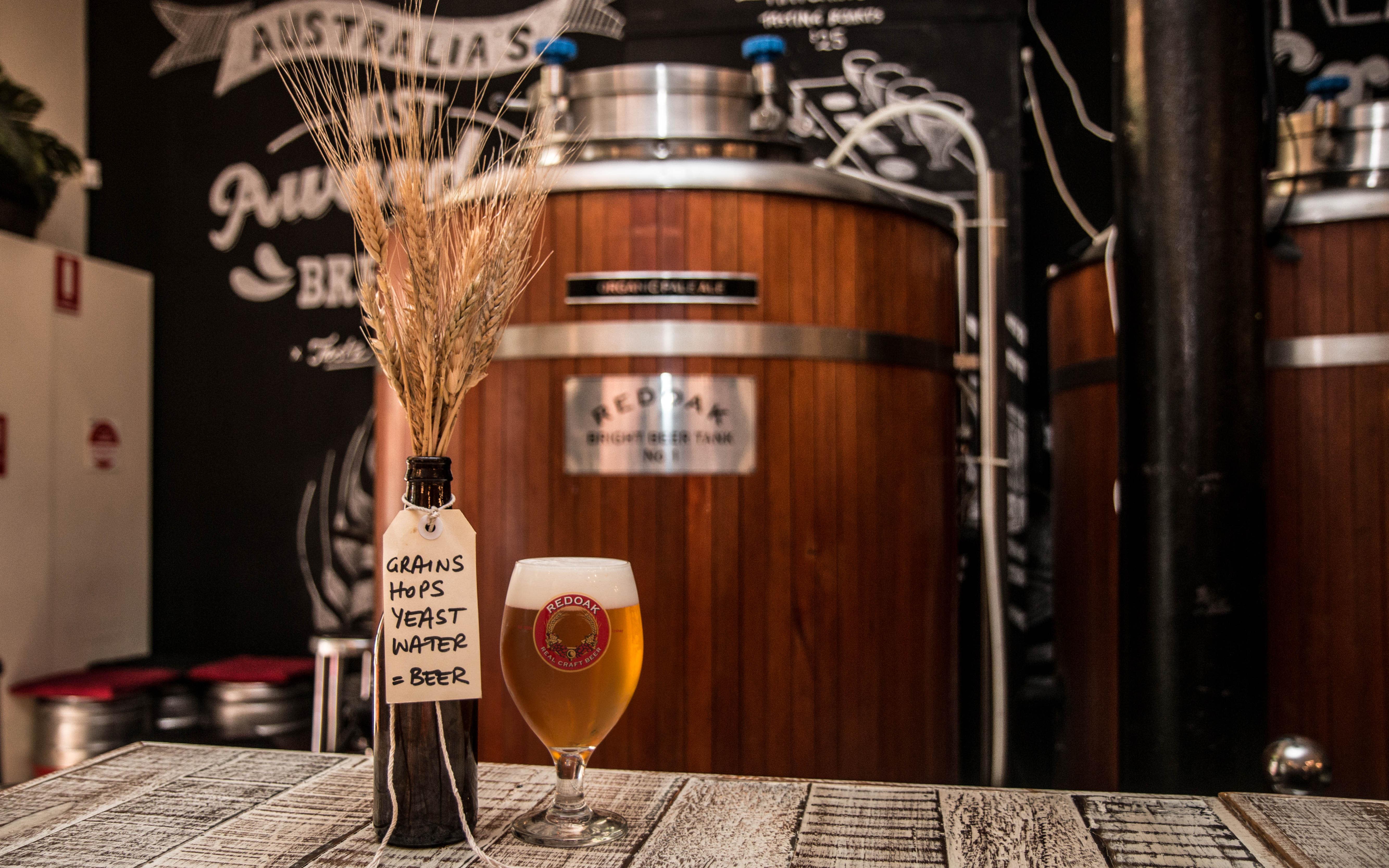 Beer and Cheese Tasting For 2 Sydney Adrenaline