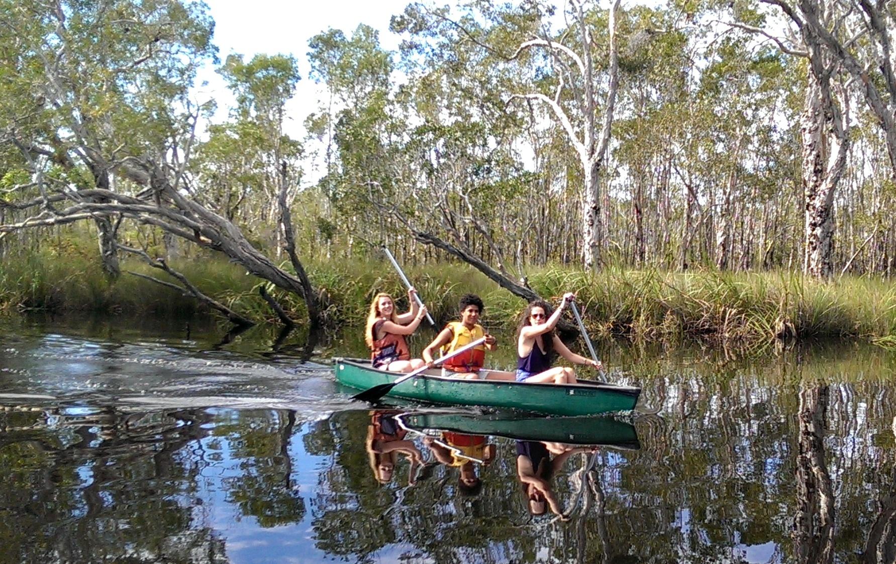 Cruise and Canoe Along Noosa Everglades with Lunch Adrenaline