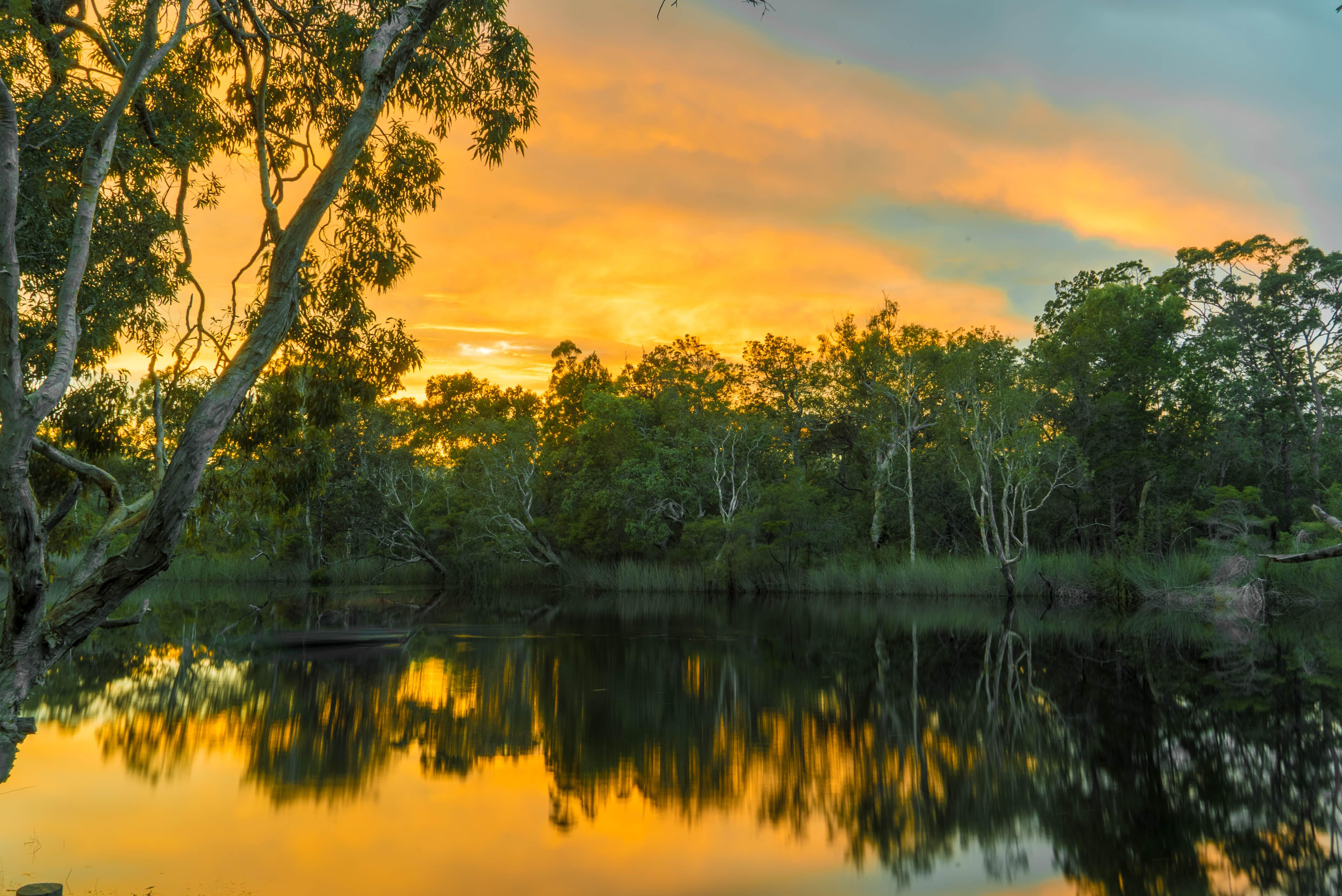 everglades boat tour noosa