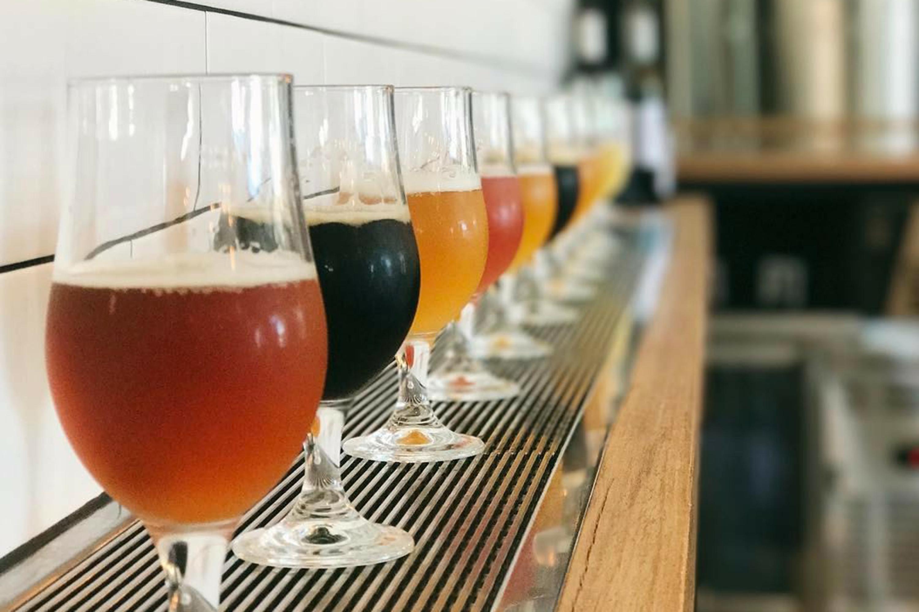 Hinterland Brewery Tour with Tastings and Lunch, Sunshine Coast 5 Hours Adrenaline