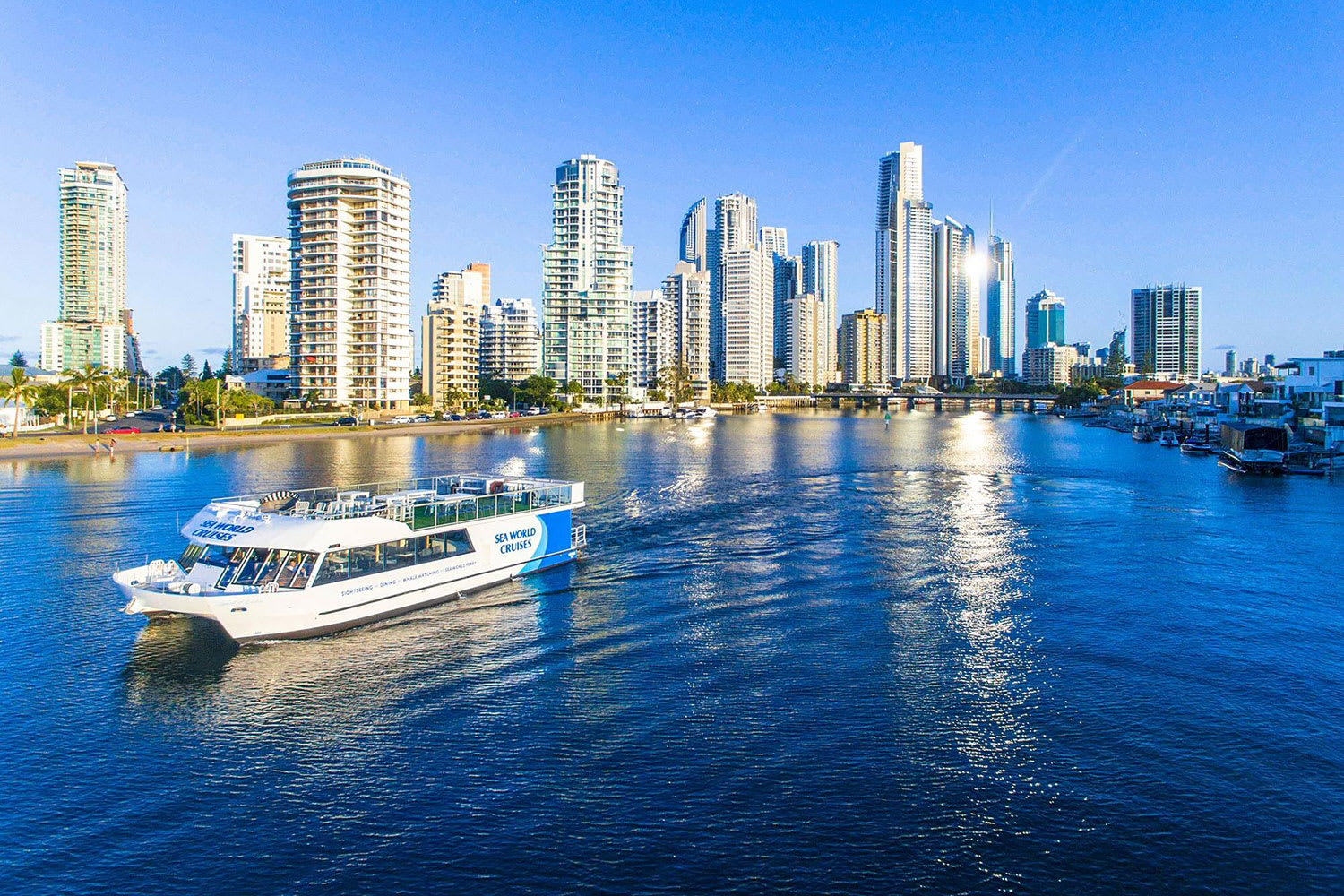 Whale Watching Cruise, 2.5 Hours - Main Beach, Gold Coast - Adrenaline