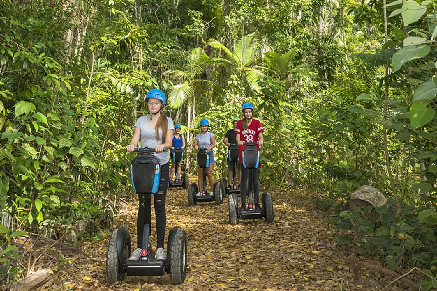 Segway Rainforest Discovery Tour