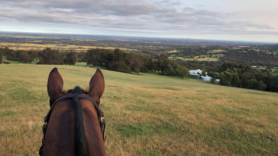 Horse Ride with Grazing Platter and Glass of Wine - For 2