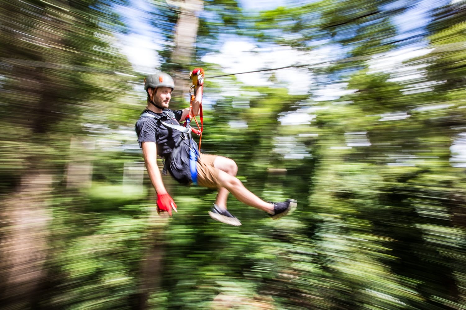 High Ropes & Flying Fox Adventure Sunshine Coast Adrenaline