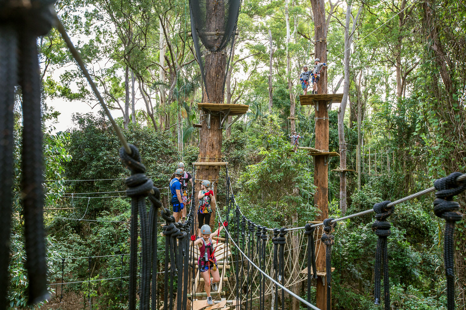 High Ropes & Flying Fox Adventure Sunshine Coast Adrenaline