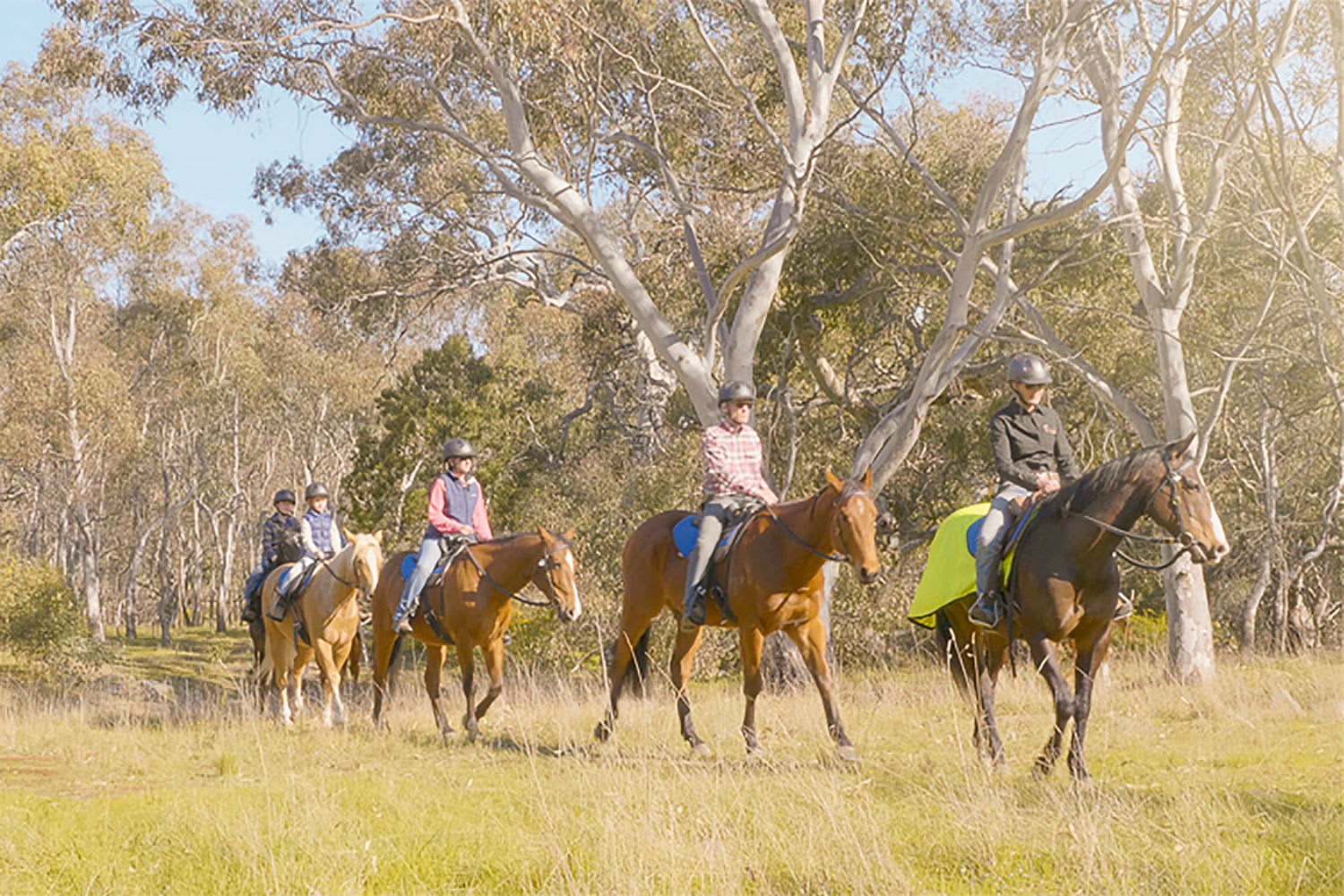 Beginner to Intermediate Horse Riding Tour 2 Hours Adrenaline