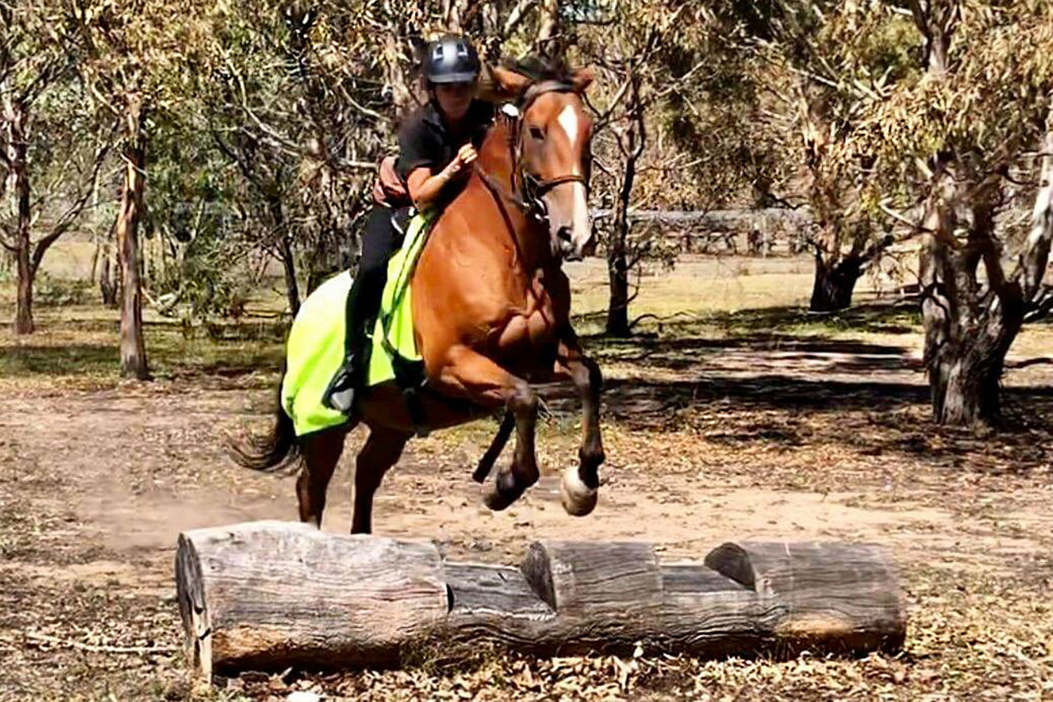 Advanced Horse Riding Tour, 2 Hours Melbourne Adrenaline