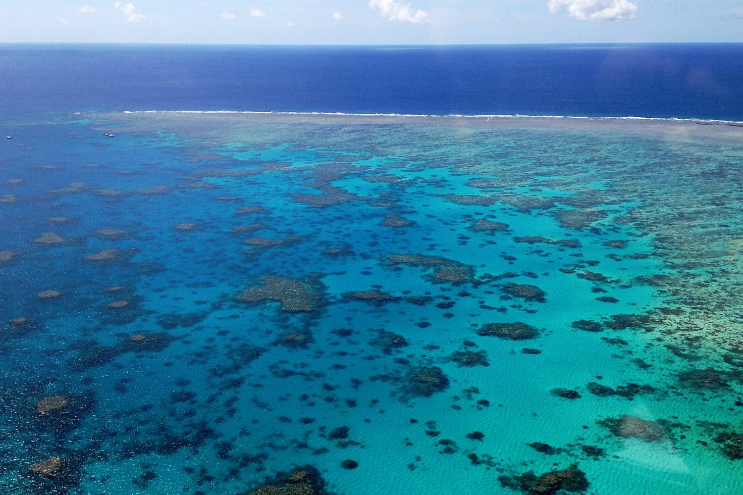 Cruise Adventure, Great Barrier Reef and Green Island - Cairns