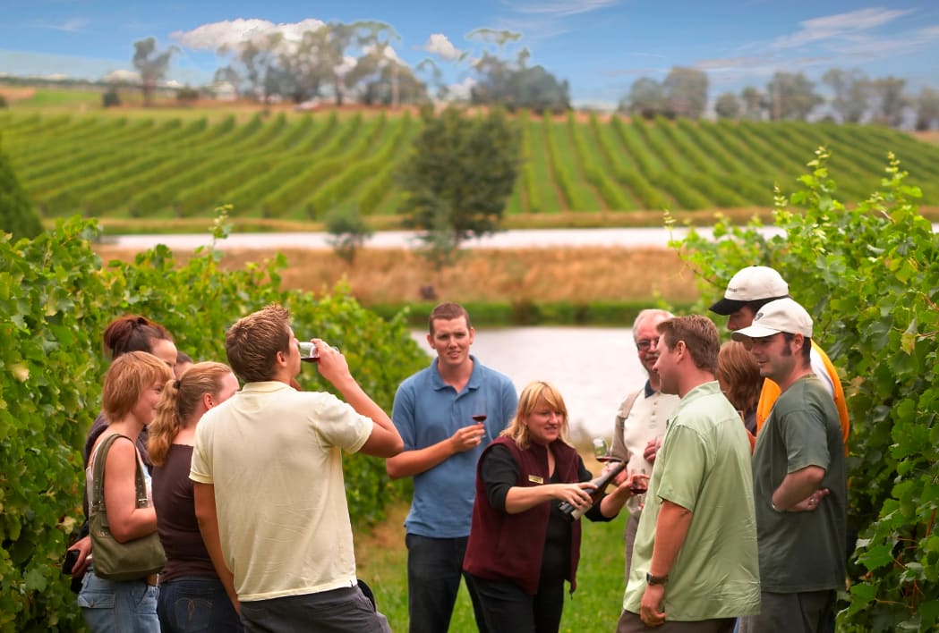 yarra valley lunch tour