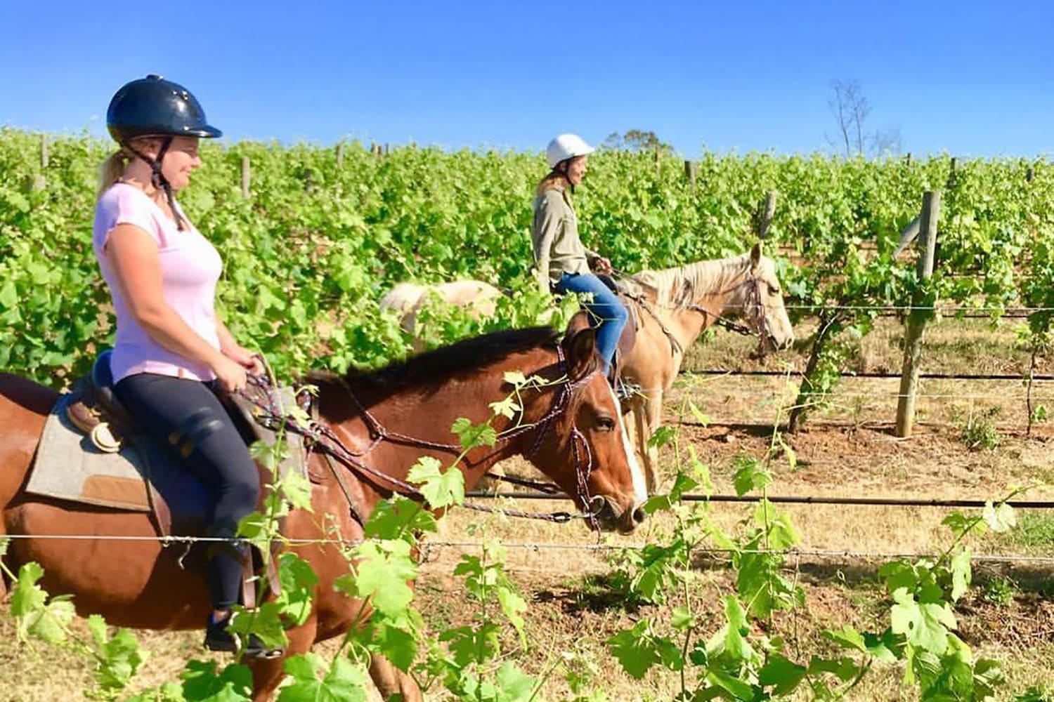 Horse Trail Ride, 1 Hour Brokenback Range, Hunter Valley Adrenaline