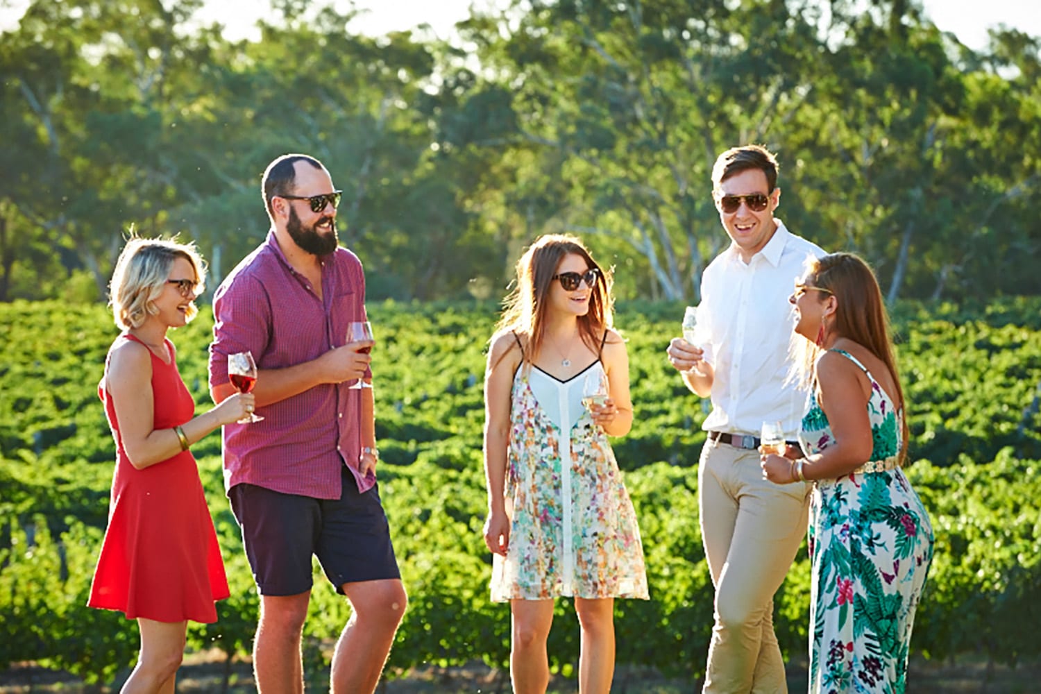 Wine Education Class with 2 Course Lunch Swan Valley, Perth Adrenaline