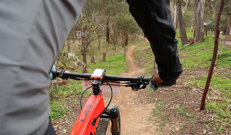 Full Day Mountain Bike Tour with Brewery Lunch - Melbourne