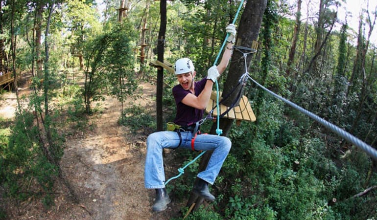 Tree Top Adventure Course With Zip-Lining - Nowra Park, NSW