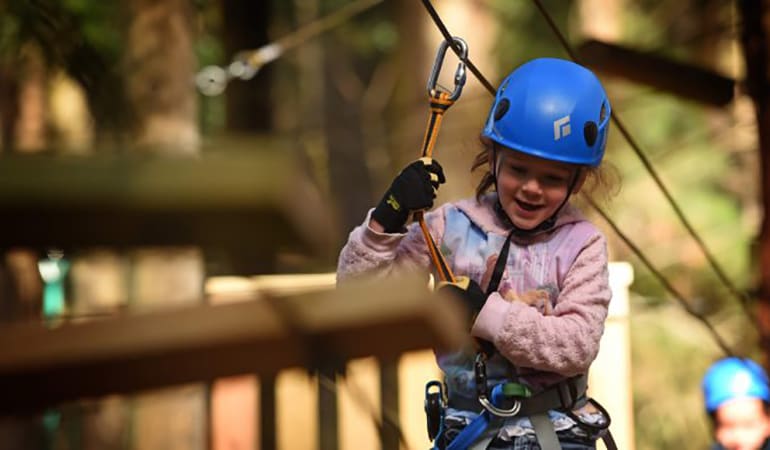 Tree Top Adventure Course With Zip-Lining - Nowra Park, NSW
