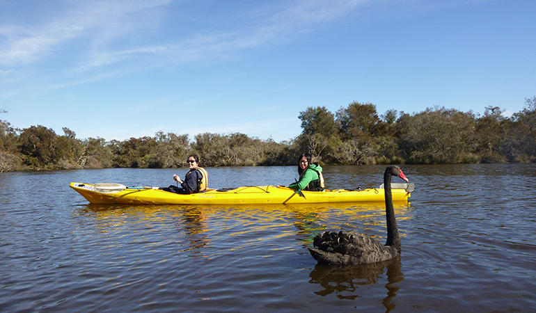 Double Kayak Hire, For 2 - Perth