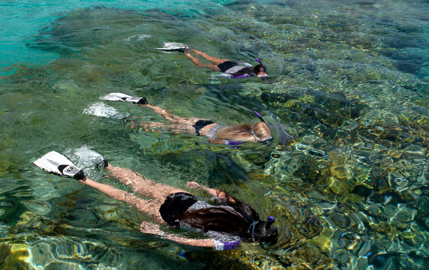Snorkel Tour, Half Day Sydney Adrenaline