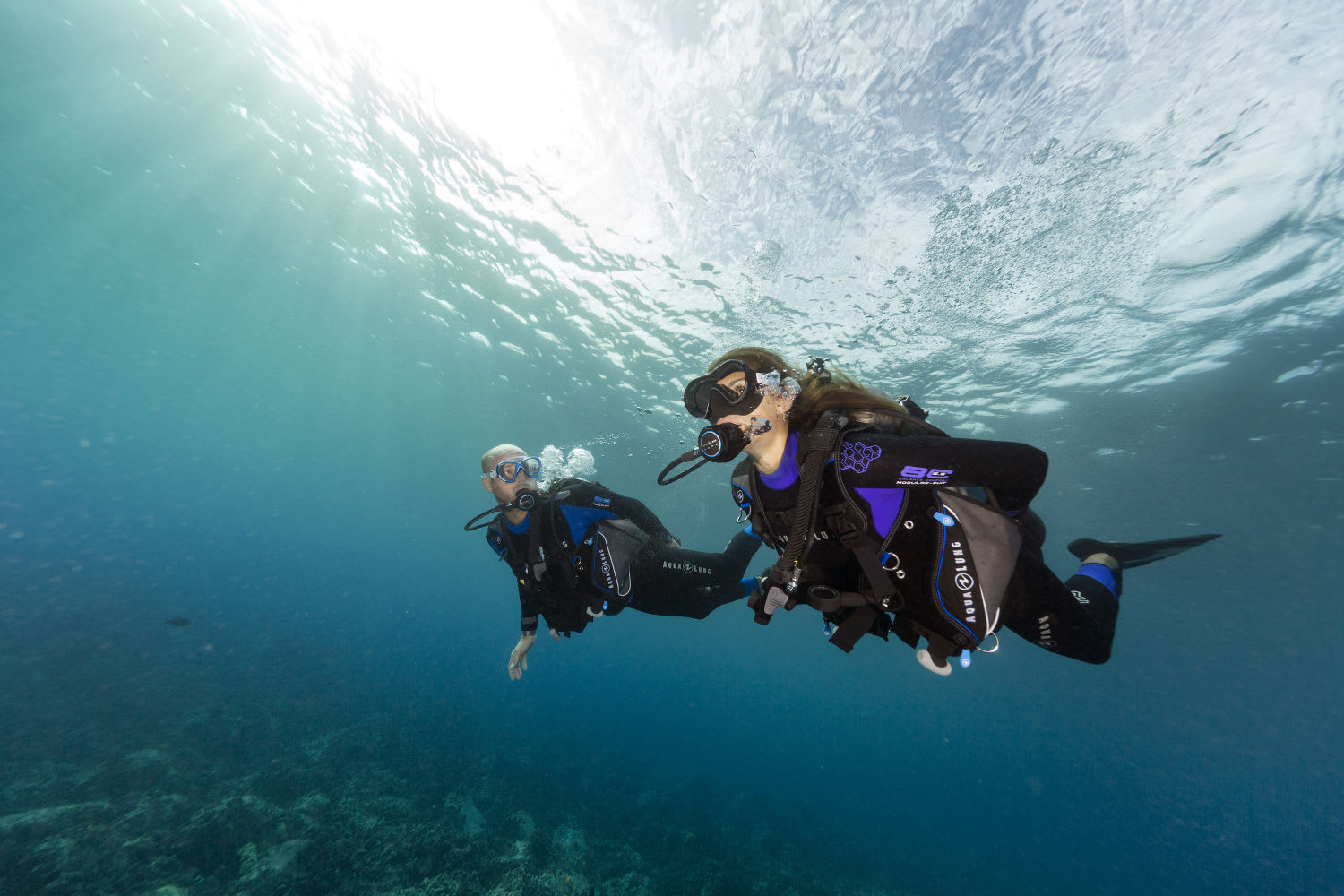 Introduction to Scuba Diving, Half Day Sydney Adrenaline