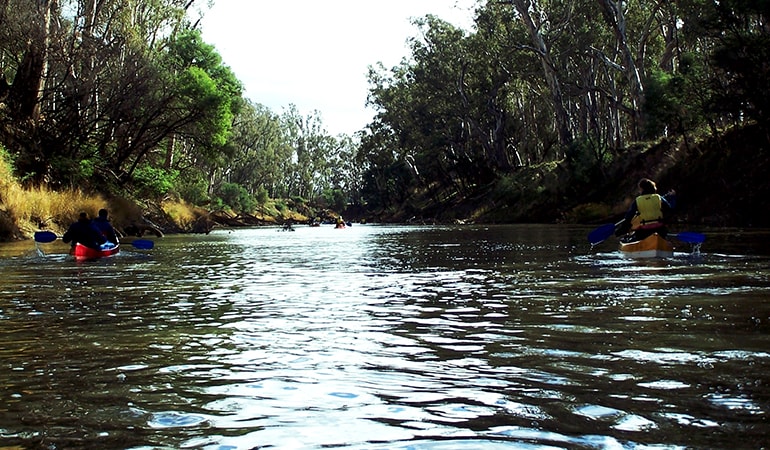 Goulburn River Kayak and Camping Trip, 3 Days, Includes Gear - Wyuna