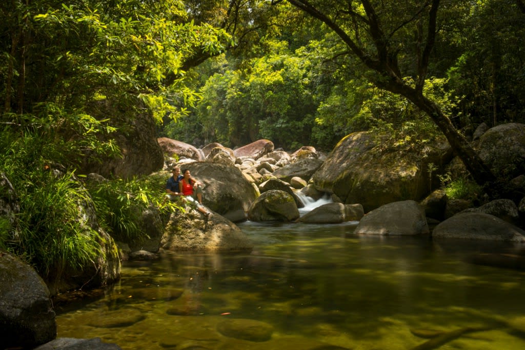 mossman gorge cape tribulation tour