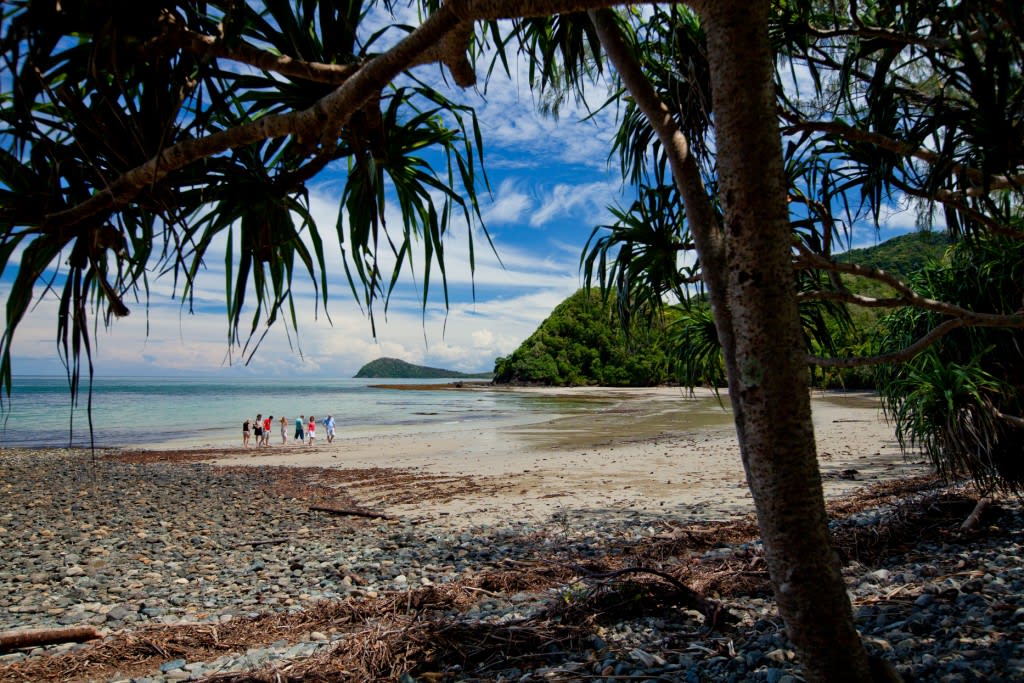 mossman gorge cape tribulation tour