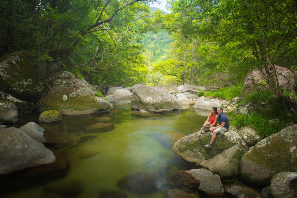 Cape Tribulation, Daintree & Mossman Gorge Guided Tour - Departs Cairns