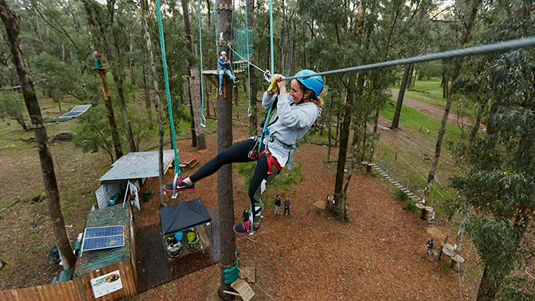 High Rope Adventure with Zip Lines - Busselton