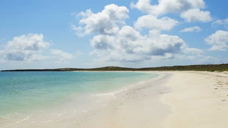 Abrolhos Island Discovery Scenic Flight and Tour