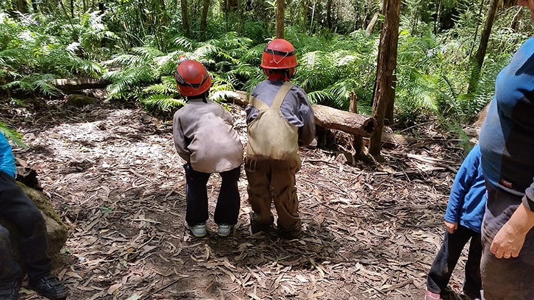 Cave and Forest Walk for Kids School Holidays - Warrandyte, VIC