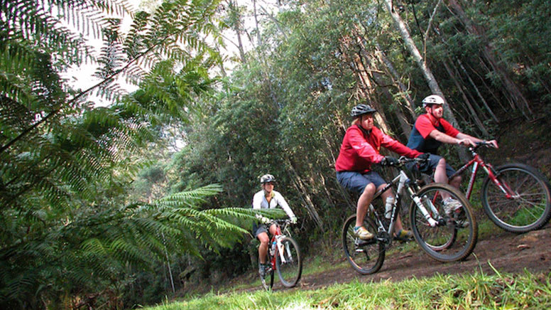 mt wellington bike tour