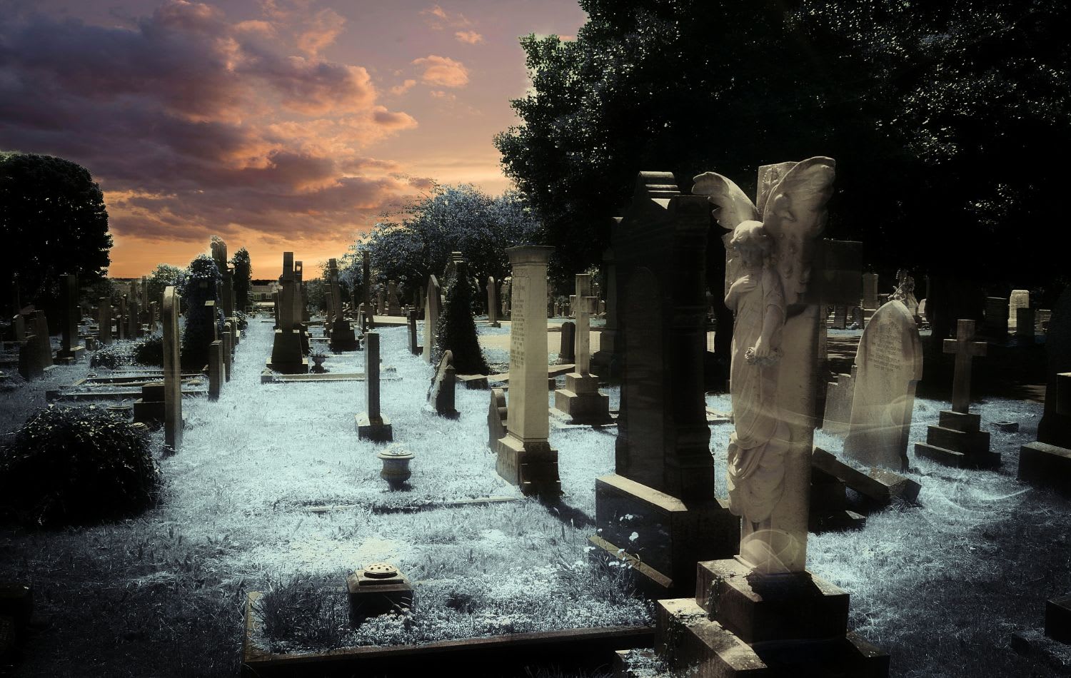 Ghost Tour, Southport Cemetery Paranormal Activity Tour - Gold Coast