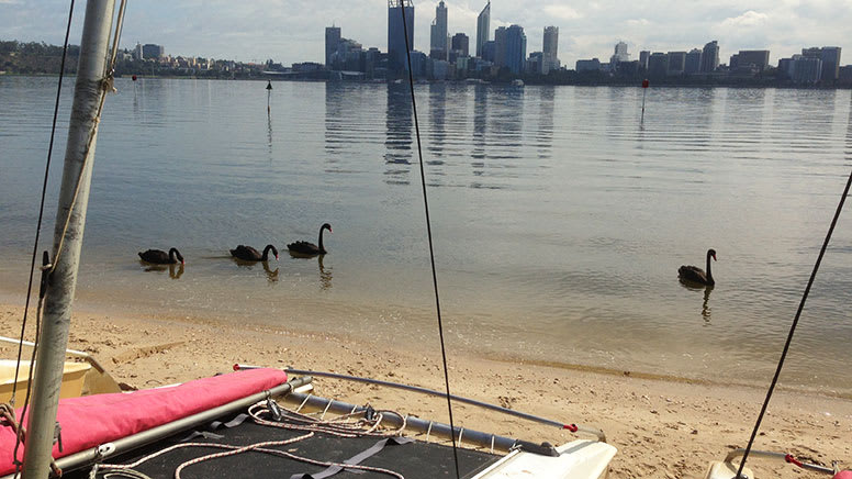 Hobie Wave Catamaran Hire, 2 Hours - Perth - For up to 4